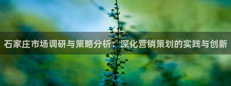必赢国际437app下载