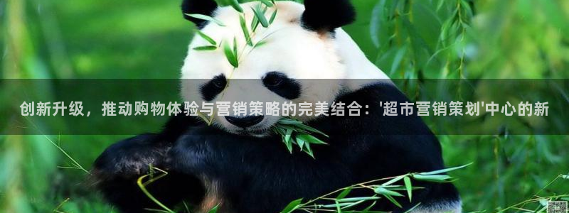 必赢平台电子：创新升级，推动购