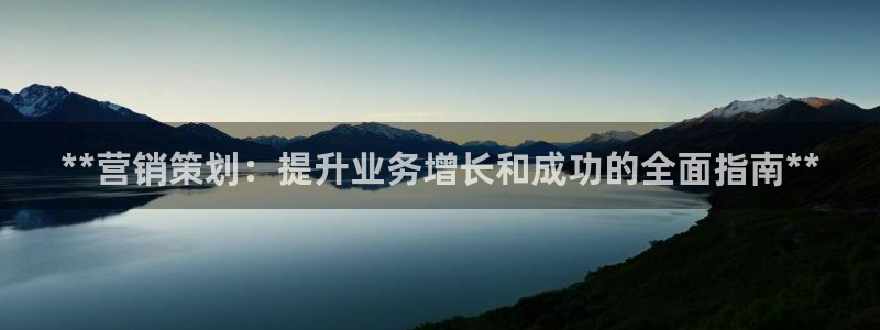 必赢国际技巧：**营销策划：提