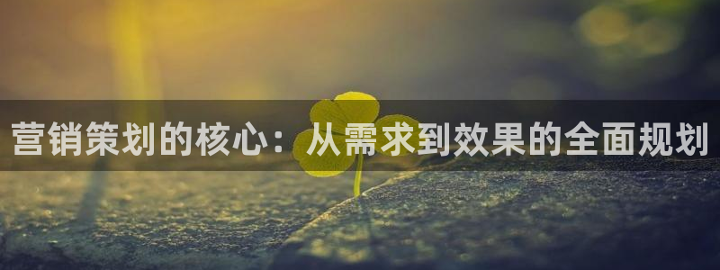 必赢下载安卓版官网：营销策划的
