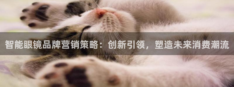 必赢网怎么打不开了呀：智能眼镜