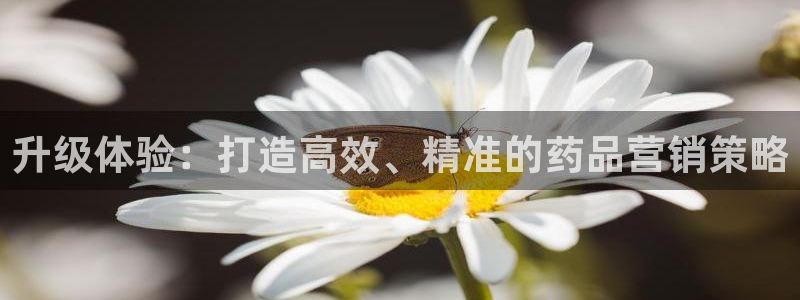 必赢国际网站合法吗：升级体验：