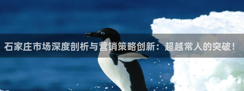 必赢这个软件怎么样：石家庄市场