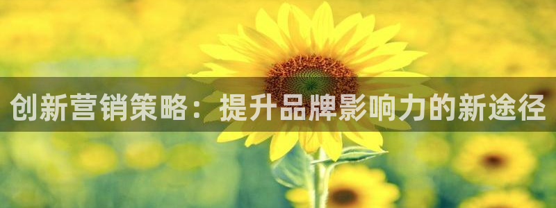 必赢3003注册3003登录