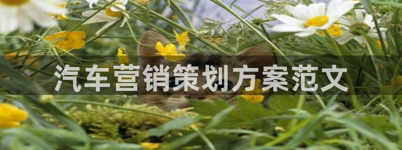 必赢官网下载安装