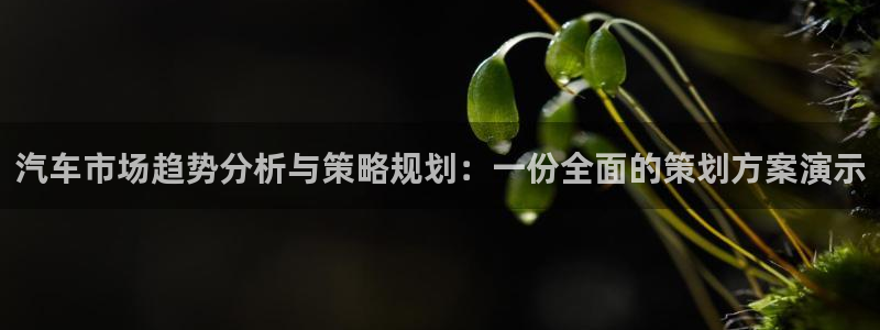 数30技巧必赢三个数