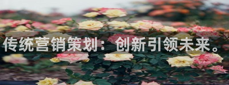 必赢手机app下载