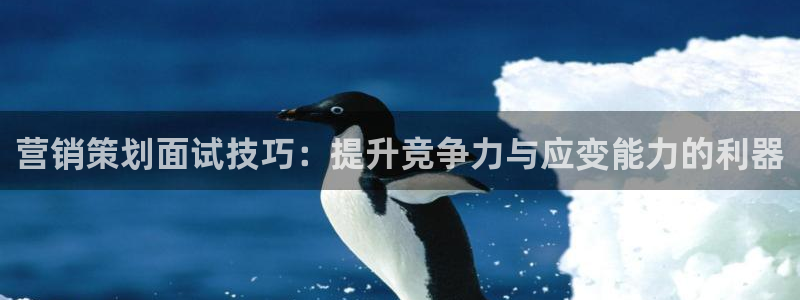 必赢平台怎么样