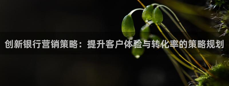 必赢公司是怎样的一家企业